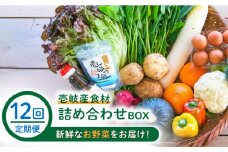【全12回定期便】壱岐産食材詰め合わせBOX「野菜」 [JBF017] 276000 276000円
