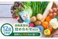 おすすめ オススメ こだわり ギフト 人気 特産品 セット 野菜 詰め合わせ