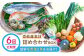 おすすめ オススメ こだわり ギフト 人気 特産品 セット 野菜 詰め合わせ