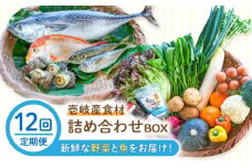 【全12回定期便】壱岐産食材詰め合わせBOX「野菜と魚」 [JBF026] 詰め合わせ 野菜 卵 鮮魚 セット 504000 504000円 