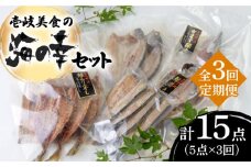 【全3回定期便】壱岐美食の海の幸セット [JBU018] 干物 刺身 アジ イカ 鯛 カマス  42000 42000円