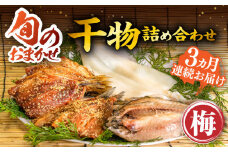 【全3回定期便】ひものや つかもとの旬のおまかせ干物詰め合わせ《梅》 [JDR009] 干物 ひもの みりん干し おまかせ 詰め合わせ アジ あじ いわし イワシ イカ  39000 39000円
