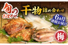 【全6回定期便】ひものや つかもとの旬のおまかせ干物詰め合わせ《梅》 [JDR010] 干物 ひもの みりん干し おまかせ 詰め合わせ アジ あじ いわし イワシ イカ 78000 78000円
