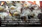 人気 贈り物 ギフト