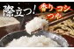 おすすめ オススメ こだわり ギフト 人気 特産品 贈り物 ギフト  
