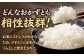 おすすめ オススメ こだわり ギフト 人気 特産品 贈り物 ギフト  