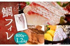 【万能！新鮮なお刺身】 壱岐島 お刺身 鯛 フィレ 柵 1尾 (0.8kg～1.2kg) 《壱岐市》【なかはら】[JDT006] 