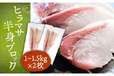 【ふるさと納税】ヒラマサ フィレ 約2〜3kg 1尾 半身 柵 お刺身《壱岐市》【なかはら】[JDT009] 