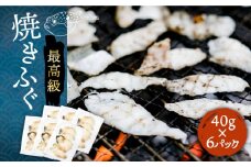 焼きふぐ 40g×6パック 《壱岐市》【なかはら】[JDT012] ふぐ フグ 河豚 とらふぐ トラフグ 焼きふぐ 焼ふぐ 焼きフグ おつまみ 肴 ツマミ 28000 28000円