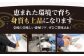 ふぐ フグ 河豚 海鮮 魚介 海の幸 贅沢 お祝い 絶品 美味しい おいしい 美