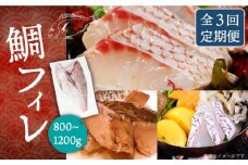 【全3回定期便】鯛フィレ 約800〜1200g（1尾・2kg台）《壱岐市》【なかはら】 [JDT033] タイ 鯛 フィレ 柵 刺身 刺身ブロック 刺し身 切身 冷凍 海鮮 海鮮丼 定期便 81000 81000円 冷凍配送