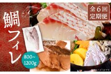 【全6回定期便】鯛フィレ 約800〜1200g（1尾・2kg台）《壱岐市》【なかはら】 [JDT034] タイ 鯛 フィレ 柵 刺身 刺身ブロック 刺し身 切身 冷凍 海鮮 海鮮丼 定期便 162000 162000円 冷凍配送