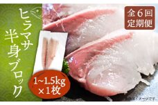 【全6回定期便】ヒラマサフィレ 約1〜1.5kg（半身）《壱岐市》【なかはら】[JDT040] ヒラマサ フィレ 柵 刺身 刺身ブロック 刺し身 切身 冷凍 海鮮 海鮮丼 162000 162000円 冷凍配送