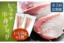 【全3回定期便】ヒラマサフィレ 約2〜3kg（1尾）《壱岐市》【なかはら】[JDT042] ヒラマサ フィレ 柵 刺身 刺身ブロック 刺し身 切身 冷凍 海鮮 海鮮丼 141000 141000円 冷凍配送