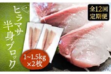 【全12回定期便】ヒラマサフィレ 約2〜3kg（1尾）《壱岐市》【なかはら】 [JDT044] ヒラマサ フィレ 柵 刺身 刺身ブロック 刺し身 切身 冷凍 海鮮 海鮮丼 564000 564000円 冷凍配送