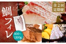 【全2回定期便】鯛フィレ 約800〜1200g（1尾・2kg台）《壱岐市》【なかはら】 [JDT068] タイ 鯛 フィレ 柵 刺身 刺身ブロック 刺し身 切身 冷凍 海鮮 海鮮丼 定期便 54000 54000円 冷凍配送