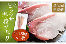 【全2回定期便】ヒラマサフィレ 約1〜1.5kg（半身）《壱岐市》【なかはら】[JDT070] ヒラマサ フィレ 柵 刺身 刺身ブロック 刺し身 切身 冷凍 海鮮 海鮮丼 54000 54000円 冷凍配送