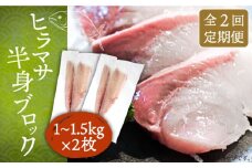 【全2回定期便】ヒラマサフィレ 約2〜3kg（1尾）《壱岐市》【なかはら】[JDT071] ヒラマサ フィレ 柵 刺身 刺身ブロック 刺し身 切身 冷凍 海鮮 海鮮丼 94000 94000円 冷凍配送