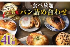 壱岐島満喫食べ放題 パック  41個 セット カレー パン ハード  ステーキ 朝食 高級 詰め合わせ 《壱岐市》【パンプラス】[JEU004] 51000 51000円 