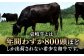 ステーキ 人気 和牛  壱岐牛 希少 柔らかい やわらかい 贈り物 ギフト 