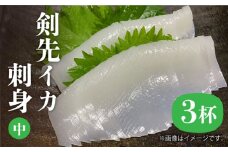 剣先イカ 刺身（中）3杯《壱岐市》【株式会社マルショウ】[JEW003] いか イカ 剣先いか セット おつまみ 新鮮 海鮮丼 刺し身 15000 15000円