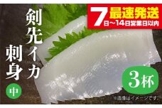 剣先イカ 刺身（中）3杯《壱岐市》【株式会社マルショウ】[JEW003] いか イカ 剣先いか セット おつまみ 新鮮 海鮮丼 刺し身 15000 15000円