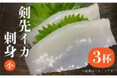 剣先イカ 刺身（小）3杯《壱岐市》【株式会社マルショウ】[JEW002] いか イカ 剣先いか セット おつまみ 新鮮 海鮮丼 刺し身 12000 12000円