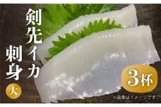 剣先イカ 刺身（大）3杯《壱岐市》【株式会社マルショウ】[JEW004] いか イカ 冷凍 剣先いか いかさし 海産物 魚介 刺し身 18000 18000円