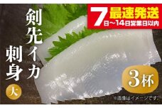 剣先イカ 刺身（大）3杯《壱岐市》【株式会社マルショウ】[JEW004] いか イカ 冷凍 剣先いか いかさし 海産物 魚介 刺し身 18000 18000円