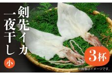 剣先イカ 一夜干 （小） 3杯 《壱岐市》【株式会社マルショウ】 いか イカ 剣先いか セット おつまみ 一夜干し [JEW005] 14000 14000円
