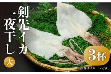 剣先イカ 一夜干（大）3杯《壱岐市》【株式会社マルショウ】 [JEW007] いか イカ 剣先いか セット おつまみ 一夜干し 海産物 魚介 刺し身 20000 20000円