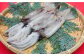 人気 イカ いか 烏賊 新鮮 海鮮  贈り物   魚介 ごはんのお供 朝食 昼食