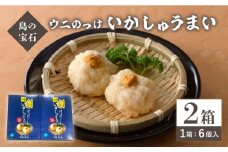焼売 ウニ のっけ いかしゅうまい 2箱 セット 《壱岐市》【大幸物産株式会社】 うに イカ いか シュウマイ [JEH017]  17000 17000円