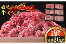 【全12回定期便】壱岐牛 A5ランク 牛ミンチ 約500g×6 《壱岐市》【KRAZY MEAT】[JER048] 小分け ミンチ 挽き肉 ひき肉 牛肉 赤身 ハンバーグ 肉 個包装 432000 432000円