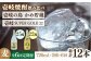 人気 贈り物 ギフト
