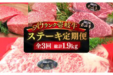 【全3回定期便】極上 壱岐牛 A5ランク ステーキ定期便《壱岐市》【KRAZY MEAT】[JER049] ステーキ 赤身 厚切り 牛肉 肉 A5 サーロイン サーロインステーキ ヒレ ヒレステーキ 164000 164000円