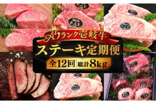 【全12回定期便】極上 壱岐牛 A5ランク ステーキ定期便《壱岐市》【KRAZY MEAT】[JER051]  ステーキ 赤身 厚切り 牛肉 肉 A5 サーロイン サーロインステーキ ヒレ ヒレステーキ 629000 629000円