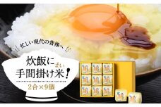 無洗米 炊飯に手間掛け米（まい）！ 2合 × 9個 [JAP015] 米 お米 時短 小分け 13000 13000円