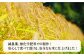 おすすめ オススメ こだわり ギフト 人気 特産品 贈り物 ギフト  無洗米 お
