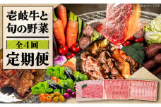【全4回定期便】 《A4～A5ランク》壱岐牛と旬の野菜定期便《壱岐市》【壱岐市農業協同組合】 [JBO077] 壱岐牛 肉 黒毛和牛 野菜 旬 詰め合わせ 贅沢 BBQ 99000 99000円