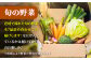 ステーキ 人気 和牛  壱岐牛 希少 柔らかい やわらかい 贈り物 ギフト  肉