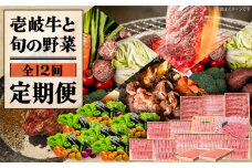 【全12回定期便】《A4～A5ランク》壱岐牛と旬の野菜定期便《壱岐市》【壱岐市農業協同組合】 [JBO079] 壱岐牛 肉 黒毛和牛 野菜 旬 詰め合わせ 贅沢 BBQ 315000 315000円