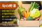 ステーキ 人気 和牛  壱岐牛 希少 柔らかい やわらかい 贈り物 ギフト  肉
