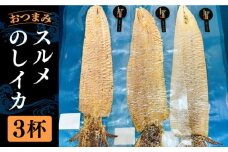 スルメのしイカ 3杯 《壱岐市》【株式会社マルショウ】 いか イカ スルメ おつまみ スルメイカ [JEW008] 12000 12000円