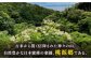 おすすめ オススメ 人気  贈り物  蜂蜜 はちみつ ハチミツ ハニー