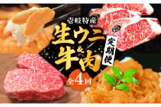 【全4回定期便】壱岐特産！生ウニと牛肉 定期便 《壱岐市》 ステーキ ステーキ肉 壱岐牛 雲丹 うに 定期便 [JZX005] 150000 150000円 