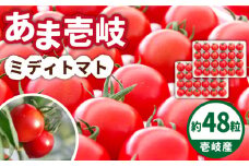 あま壱岐 ミディトマト 約48粒 《壱岐市》【壱岐の潮風】 [JAE009] トマト ミディトマト 野菜 ギフト プレゼント 贈り物 15000 15000円 