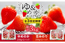 【先行予約】【全3回定期便】《2月〜4月：毎月発送！》イチゴ1kg 食べ比べ  「ゆめ恋セット（ゆめのか・恋みのり ）」（250g×4パック）【2026年2月以降順次発送】《壱岐市》【蒼花】 [JEO003] いちご イチゴ 苺 フルーツ 果物 ゆめのか 恋みのり セット 食べ比べ  冷蔵 あまおう 45000 45000円