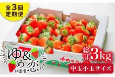 【先行予約】【全3回定期便】 《2月〜4月：毎月発送！》お徳用 バラ詰め イチゴ 1kg （ゆめのか・恋みのり）【2026年2月以降順次発送】《壱岐市》【蒼花】 [JEO004] いちご イチゴ 苺 フルーツ 果物 スムージー ジャム ゆめのか 恋みのり セット 食べ比べ  冷蔵 30000 30000円