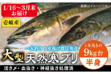 【1/16～3月末お届け】天然 寒ブリ（一本丸ものサイズ9キロ台 半身ブロック）《壱岐市》【壱岐島 玄海屋】 [JBS099] 70000 70000円 